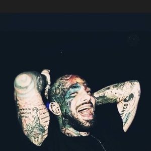 Meet your Posher, Amir